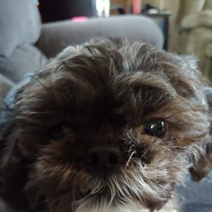 Meet your Posher, Kathy